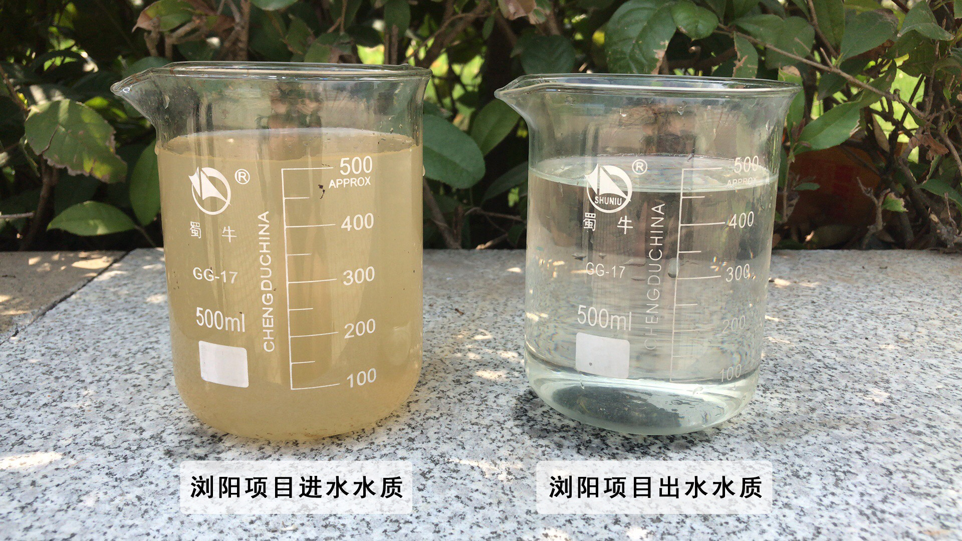 今晚特马生肖必开
